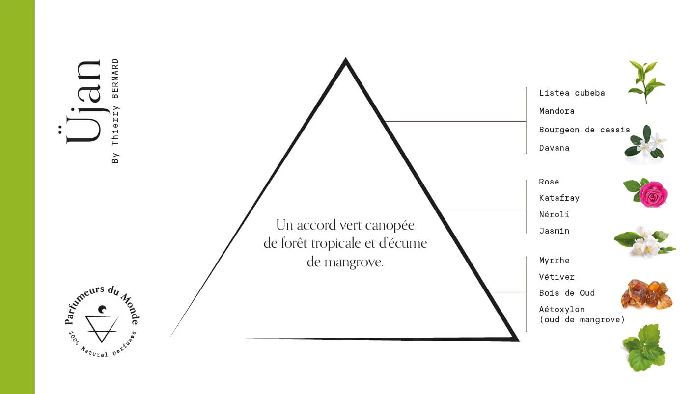 Apa de parfum, Üjan, 50ml de Thierry BERNARD